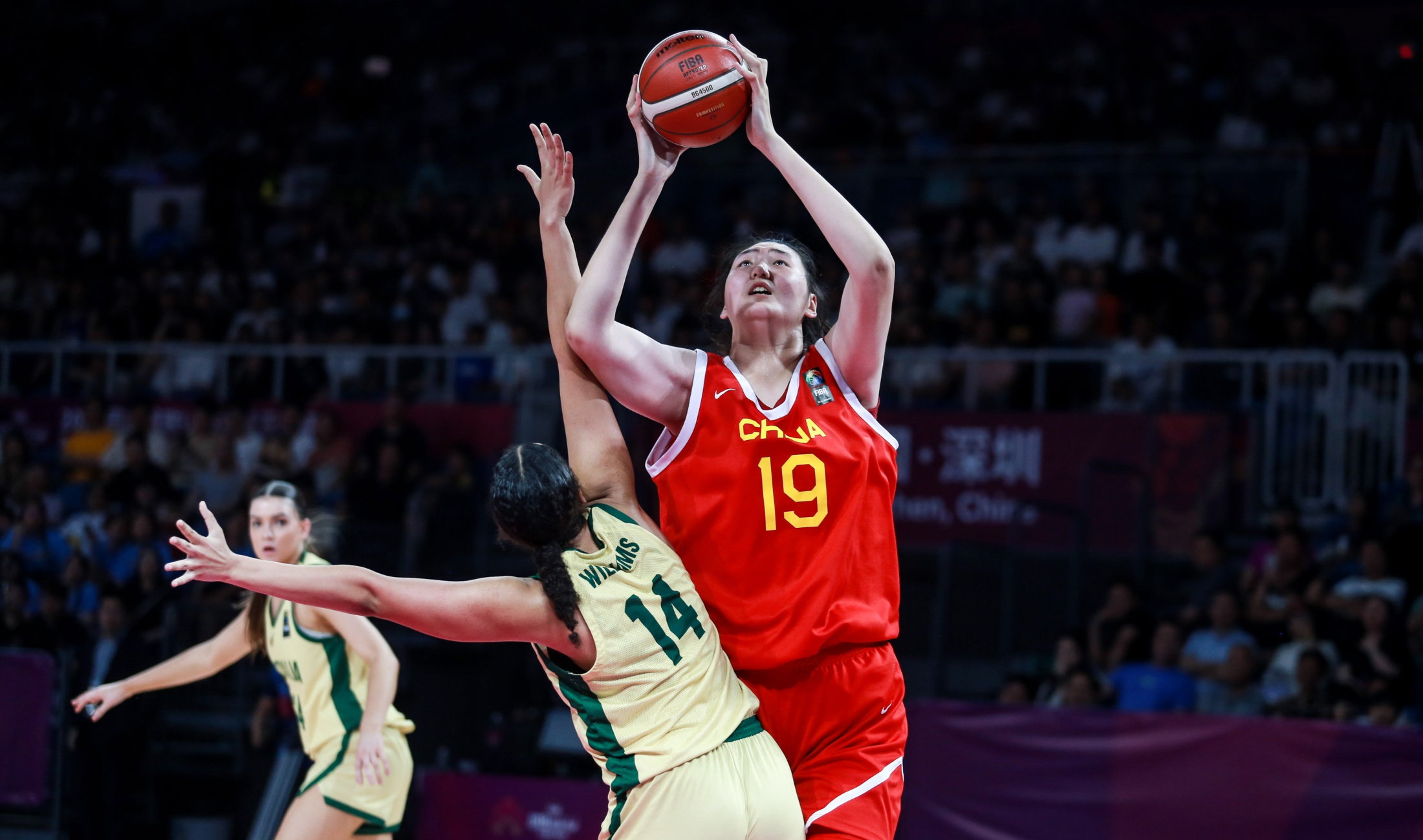 奥地利女篮在阿尔卑斯杯中取得胜利