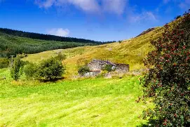 威尔士主场告捷，小组出线形势渐趋明朗