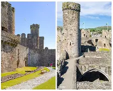 威尔士主场告捷，小组出线形势渐趋明朗