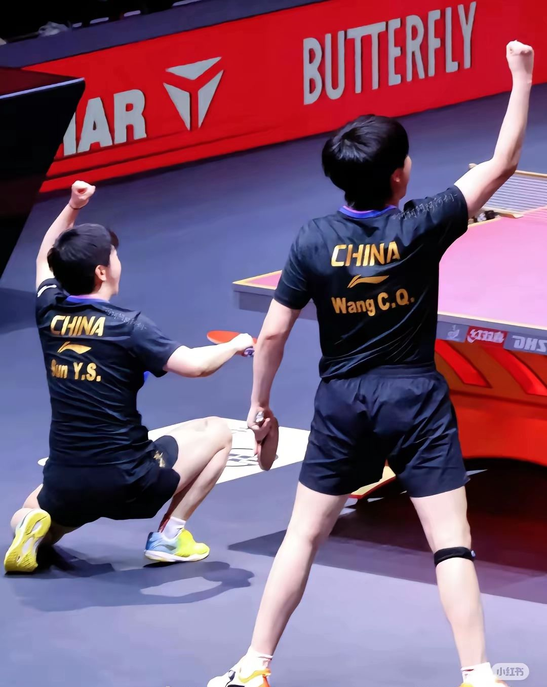 包含波兰乒乓球队鏖战比利时乒乓球队，王皓制霸全场的词条