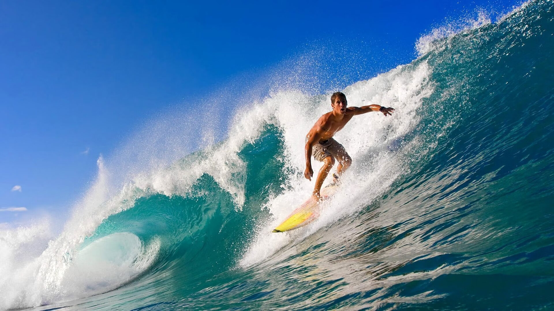 棋盘上的第三位选手